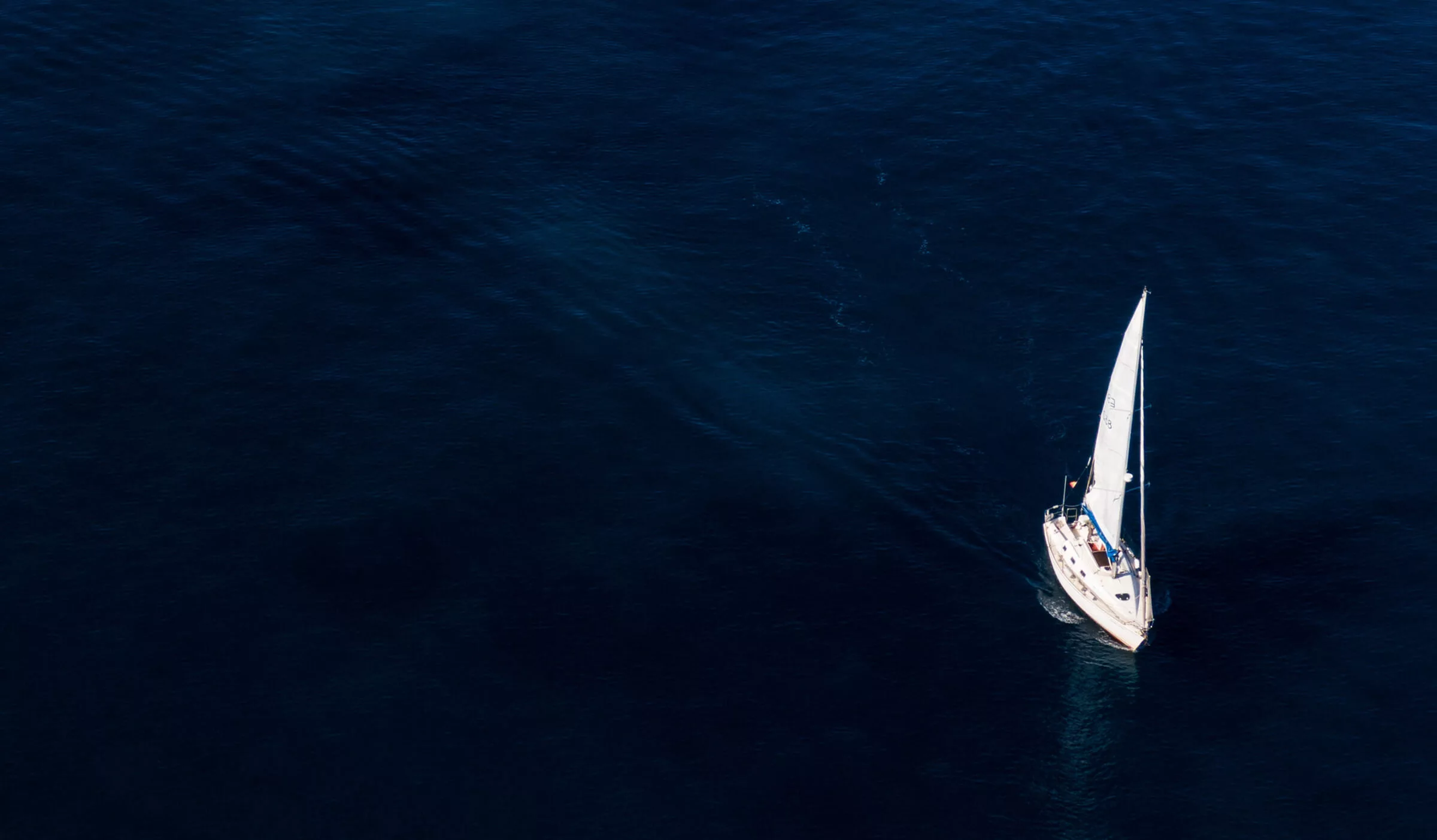 Contact MacAndrews & Forbes